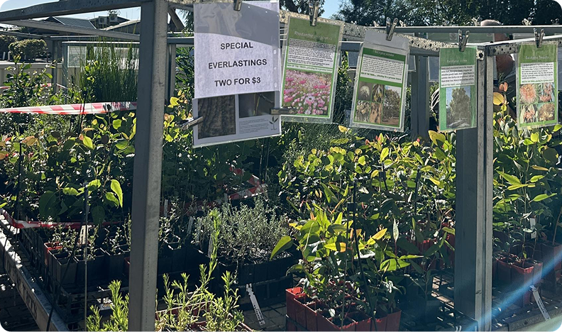 mott-theshed-carouselimg1