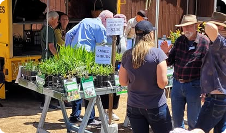 mott-theshed-carouselimg2