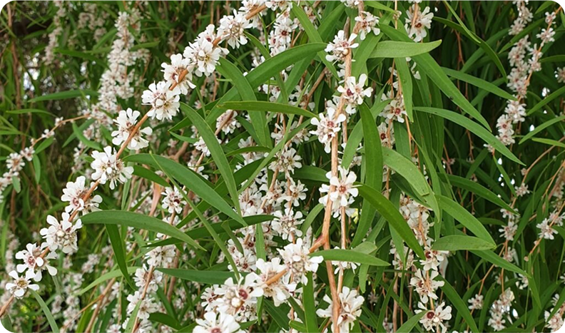 mott-theshed-carouselimg3