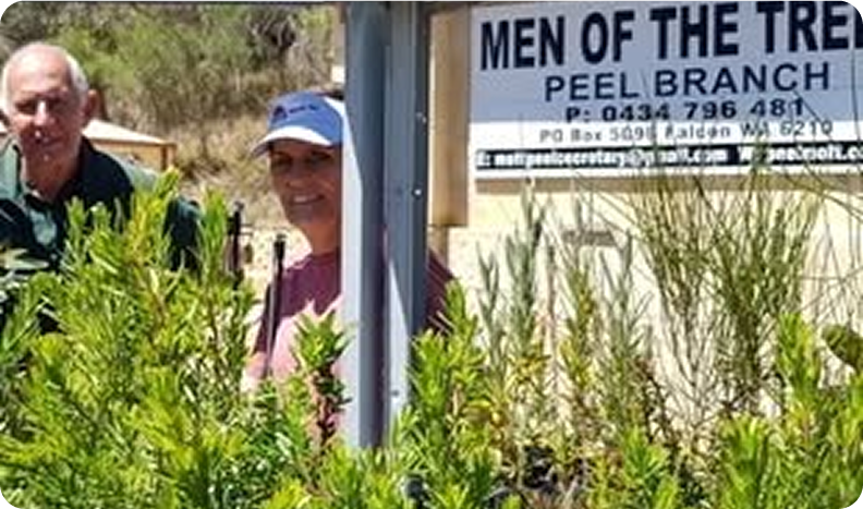 mott-theshed-carouselimg4